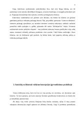 Paslaugų gamintojo ir vartotojo santykiai 13 puslapis