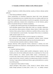 Paslaugų gamintojo ir vartotojo santykiai 8 puslapis