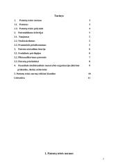 Patentų teisės normos 2 puslapis