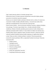 Patentų teisės normos 3 puslapis