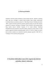 Patentų teisės normos 8 puslapis