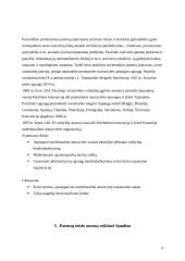 Patentų teisės normos 9 puslapis