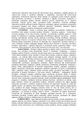 Pedagogikos sąvokos 4 puslapis