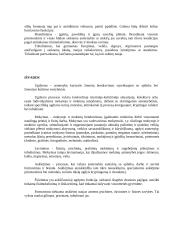 Pedagogikos sąvokos 5 puslapis