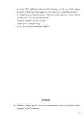 Pedagoginis darbas 11 puslapis