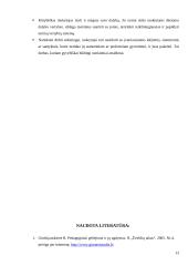 Pedagoginis darbas 12 puslapis