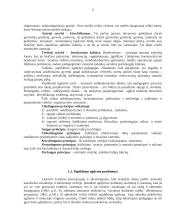 Pedagogų, organizuojančių papildomą ugdymą, kvalifikacija ir galimybės ją tobulinti 5 puslapis