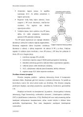 Asmeninio kompiuterio architektūra 3 puslapis