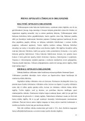 Pieno savybės ir nauda 11 puslapis