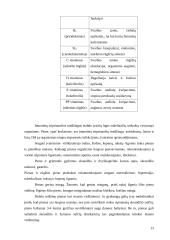 Pieno savybės ir nauda 13 puslapis