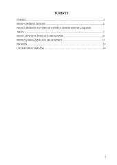 Pieno savybės ir nauda 3 puslapis