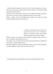 Plaukimas neįgaliesiems 6 puslapis