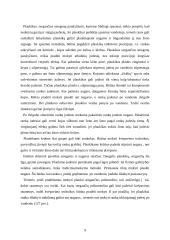 Plaukimas neįgaliesiems 8 puslapis