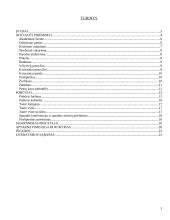 Pobūvių rūšys etiketui 2 puslapis