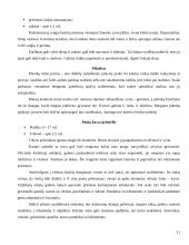 Pobūvių rūšys etiketui 11 puslapis