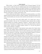 Pobūvių rūšys etiketui 16 puslapis