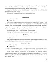 Pobūvių rūšys etiketui 17 puslapis