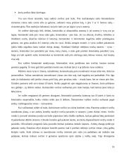 Pobūvių rūšys etiketui 19 puslapis