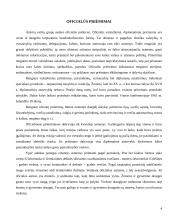 Pobūvių rūšys etiketui 4 puslapis