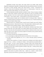 Pobūvių rūšys etiketui 5 puslapis