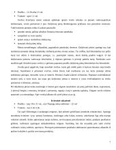 Pobūvių rūšys etiketui 7 puslapis