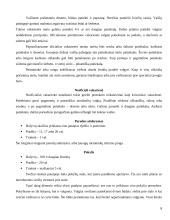 Pobūvių rūšys etiketui 8 puslapis