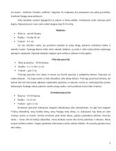 Pobūvių rūšys etiketui 9 puslapis