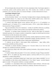 Pozityvizmo ir klasikinės minties prieštaravimai kriminologijoje. Kaip tai atsispindi kriminalinės justicijos sistemoje šiandien 6 puslapis