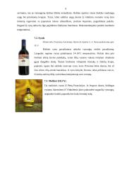 Prancūzijos vynai 9 puslapis