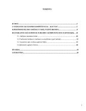 Priešmokyklinio amžiaus vaikų sveikatos saugojimo kompetencijos plėtotė 2 puslapis