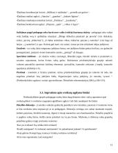 Priešmokyklinio amžiaus vaikų sveikatos saugojimo kompetencijos plėtotė 13 puslapis