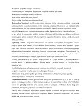 Priešmokyklinio amžiaus vaikų sveikatos saugojimo kompetencijos plėtotė 14 puslapis