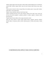 Priešmokyklinio amžiaus vaikų sveikatos saugojimo kompetencijos plėtotė 7 puslapis