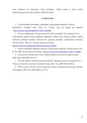 Prievolių įvykdymo užtikrinimo būdai 13 puslapis