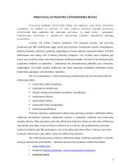 Prievolių įvykdymo užtikrinimo būdai 3 puslapis