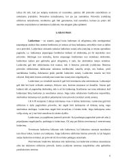 Prievolių įvykdymo užtikrinimo būdai 6 puslapis