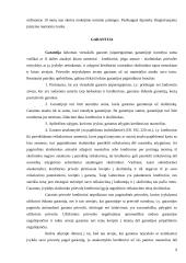 Prievolių įvykdymo užtikrinimo būdai 9 puslapis