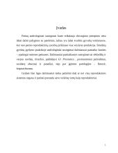 Prostatos chirurginės ligos 2 puslapis