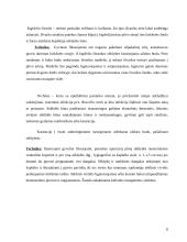 Prostatos chirurginės ligos 9 puslapis