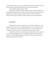 Protokolas ir etiketas: Singapūras, Japonija, Korėja 4 puslapis