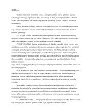 Protokolas ir etiketas: Singapūras, Japonija, Korėja 6 puslapis