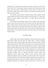 Rangos sutarties samprata, jos šalys ir sudarymo bei vykdymo ypatumai 11 puslapis