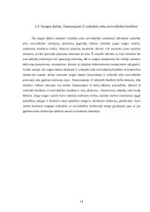 Rangos sutarties samprata, jos šalys ir sudarymo bei vykdymo ypatumai 14 puslapis