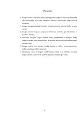 Rangos sutarties samprata, jos šalys ir sudarymo bei vykdymo ypatumai 20 puslapis