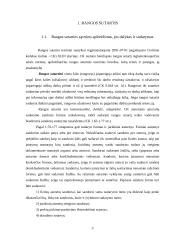 Rangos sutarties samprata, jos šalys ir sudarymo bei vykdymo ypatumai 3 puslapis