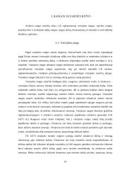 Rangos sutarties samprata, jos šalys ir sudarymo bei vykdymo ypatumai 10 puslapis