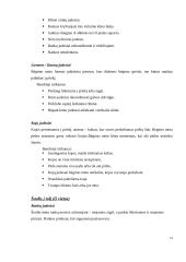 Regos neįgaliųjų fizinė veikla ir ypatumai 12 puslapis