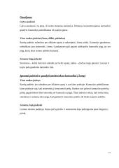 Regos neįgaliųjų fizinė veikla ir ypatumai 14 puslapis