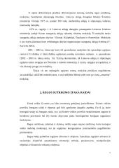 Regos neįgaliųjų fizinė veikla ir ypatumai 4 puslapis