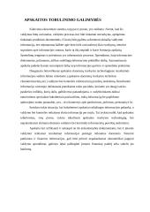 Reikalavimai apskaitinei informacijai ir jos formavimas valdymo sistemoje 12 puslapis